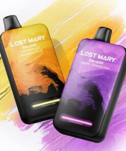 Lost Mary BM16000